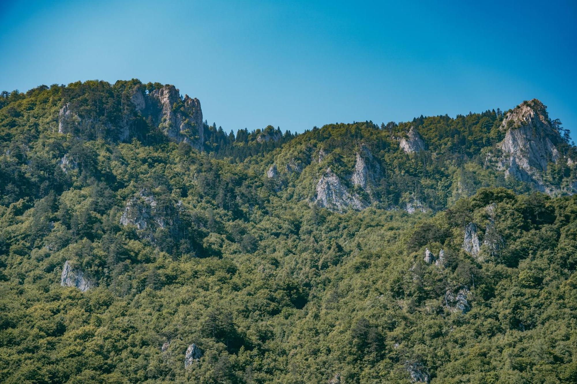 Hotel Vucja Gora Foca Exteriér fotografie