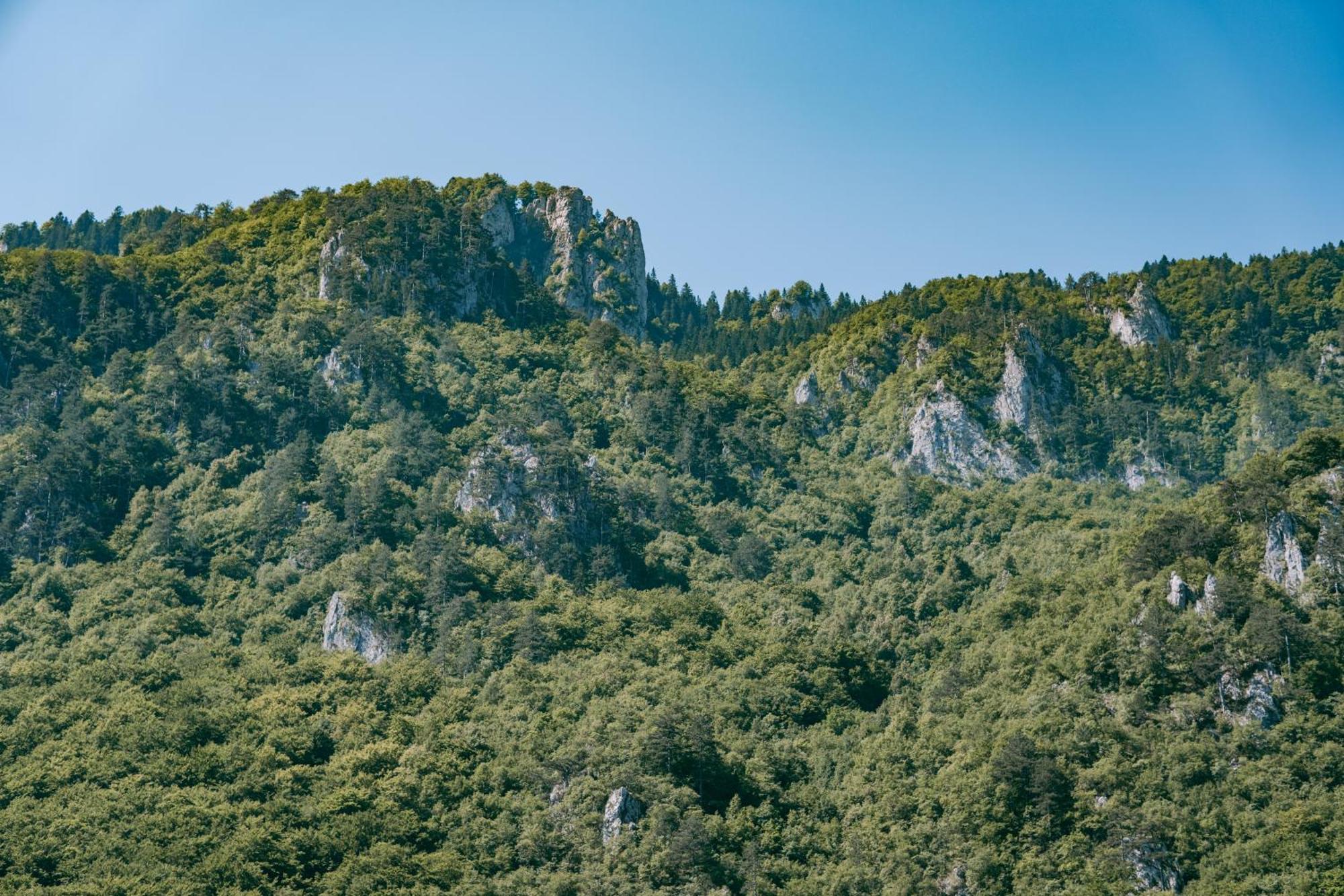 Hotel Vucja Gora Foca Exteriér fotografie